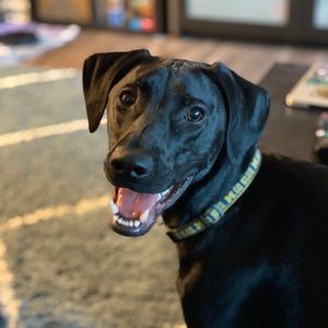 Meet your Posher, Esha